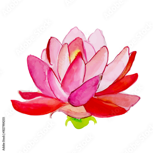 Floral Elegance: The intricate petals of a water lily unfurl in a vibrant display of color, their soft textures and delicate forms a testament to the beauty of nature.