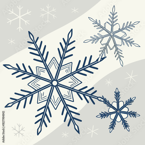 Elegant Snowflake Trio A Winters Tale in Detailed Illustration.