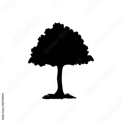 Tree Silhouette: A stark silhouette of a solitary tree, set against a pristine backdrop, embodies nature's serene solitude. This image captures the essence of tranquility.