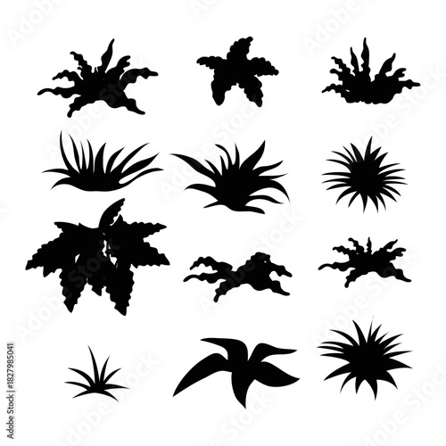 Botanical Silhouettes: A collection of meticulously crafted, silhouetted botanical forms, capturing the intricate beauty of diverse plant life with stark contrast and elegant simplicity.