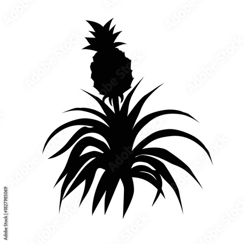 Pineapple Silhouette: A striking black silhouette of a ripe pineapple, set against a pristine backdrop, showcasing the fruit's unique texture and the plant's elegant form.