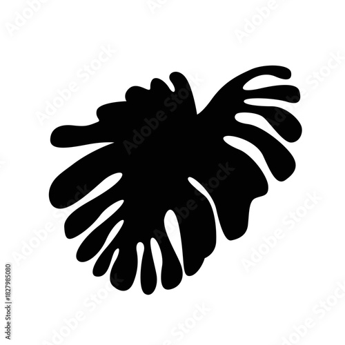 Monstera Leaf Silhouette: A minimalist, high-contrast silhouette of a Monstera leaf, showcasing the iconic shape with its characteristic fenestrations.