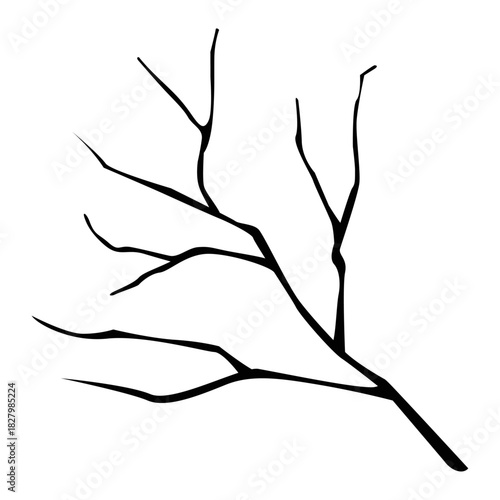 Minimalist Branch Silhouette: A stark black branch silhouette gracefully extends against the bright background.