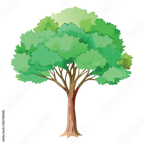 Beautiful green tree illustration with layered foliage and a textured trunk, in a clean, watercolor-style design.