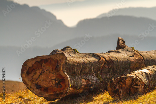 On the Transapusena, Romania