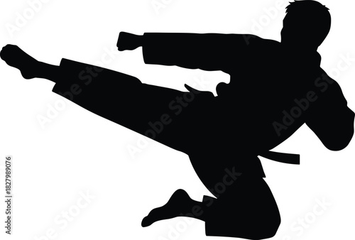 Black silhouette of a karateka performing a side kick, karate, martial arts, silhouette, black, white, kick, side kick, fighter, combat, sport, action, dynamic, movement, athlete, training, discipline