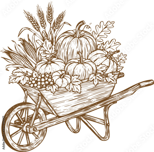 An engraving art style illustration hand drawn sketch of a wheelbarrow filled with pumpkins, wheat, and autumn foliage