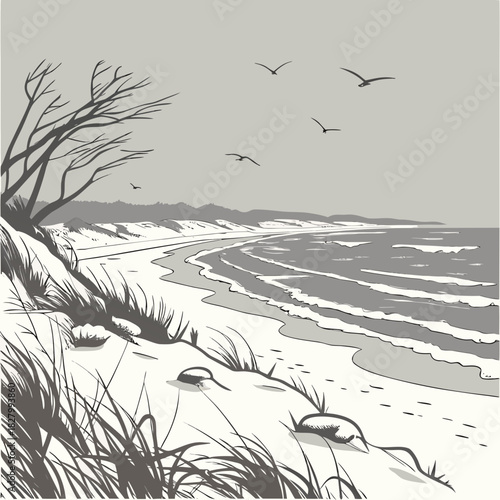 Monochrome Beach Scene with Birds and Dunes Illustration.