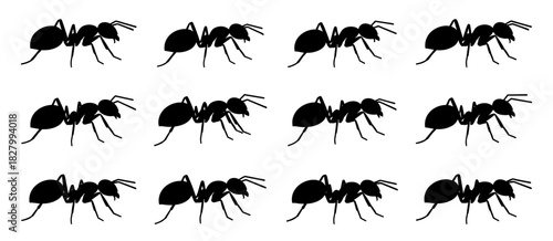 Ant collection shows natural walking poses with simple shapes. The insects appear clean and recognizable. The silhouettes have very high quality