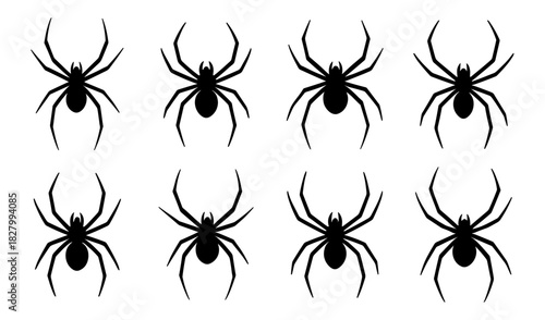 Spider silhouettes show symmetrical leg positions with rounded bodies in static poses. Each figure highlights natural insect structure and clean lines. The silhouettes have very high quality