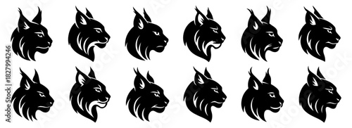 Lynx head with pointed ears and expressive fur lines. The silhouette highlights elegant predatory features