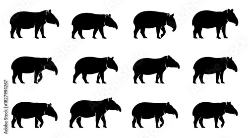 Tapir collection shows natural walking poses and rounded shapes. The animals appear calm and realistic. The silhouettes have very high quality