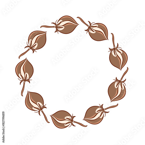 Autumn and winter wreath cotton seed pod illustration isolated on white background in flat style. Seasonal botanical graphic card for nature and decoration design.
