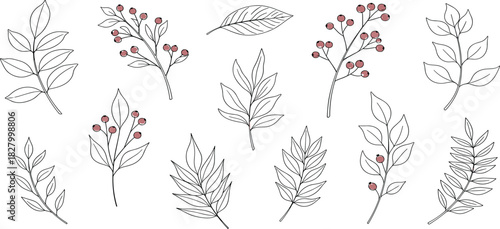 Elegant hand-drawn collection of diverse botanical elements featuring delicate leaves and berry branches, perfect for nature-inspired design projects and decorative accents