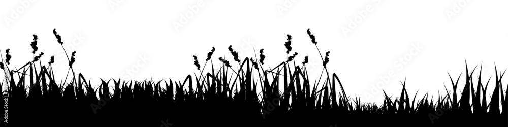 Obraz premium Meadow silhouette with grass, plants on plain. Panoramic summer lawn landscape with herbs, various weeds. Herbal border, frame element. Black horizontal banners. Vector illustration