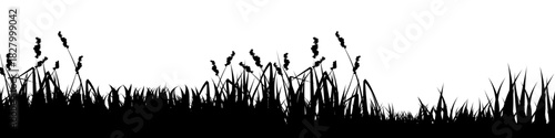 Meadow silhouette with grass, plants on plain. Panoramic summer lawn landscape with herbs, various weeds. Herbal border, frame element. Black horizontal banners. Vector illustration