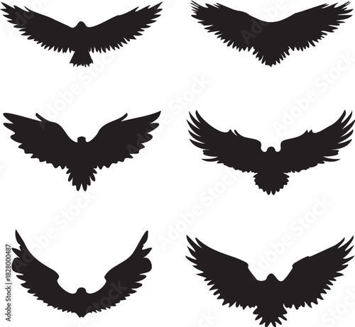 Black silhouette wings flat icon, on white background