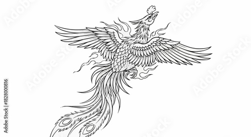 Detailed Line Art Illustration of a Majestic Phoenix Bird.