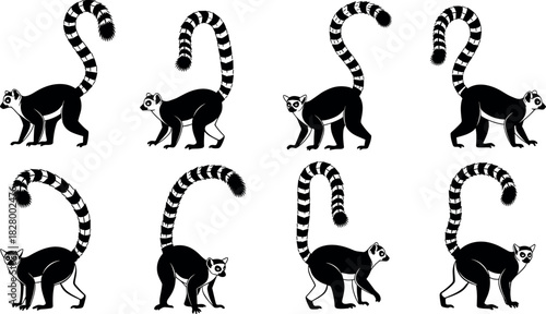 Stylized ring-tailed lemur vector set featuring black and white striped tails, ideal for wildlife, nature, and educational design themes.