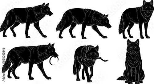 Black wolf silhouettes in various poses with detailed fur texture, walking, sitting, and holding objects, ideal for wildlife illustrations.