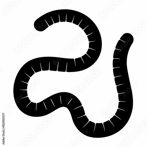 Silhouette depiction of an earthworm showcasing its segmented body structure and movement