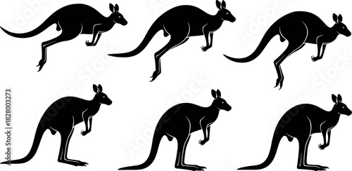 Kangaroo hopping silhouette sequence showing dynamic jump motion, animal biomechanics, wildlife movement, marsupial locomotion, black vector illustration set