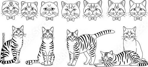 Set of Cute Cat Faces and Full-Body Poses in Various Expressions and Positions for Pet, Animal, and Design Concepts