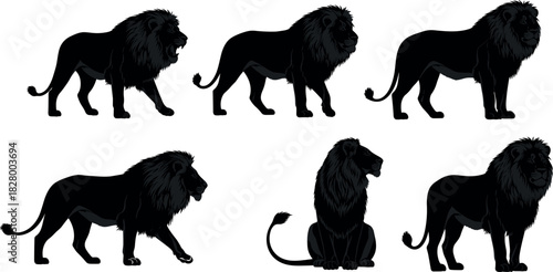 Set of six black lion silhouette poses including walking, sitting, roaring, and standing—ideal for wildlife, tattoo, and heraldic design.