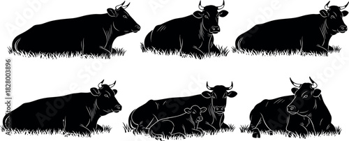 Silhouette cows lying on grass in various poses with calf, peaceful farm animals resting in nature, rural livestock vector illustration
