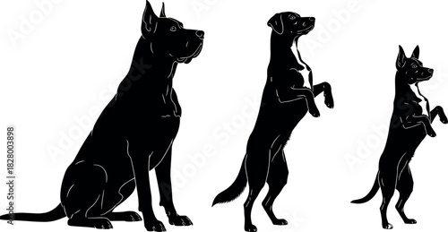 Silhouette dogs in sitting and standing postures, black vector illustration of canine training, obedience, and breed size comparison art