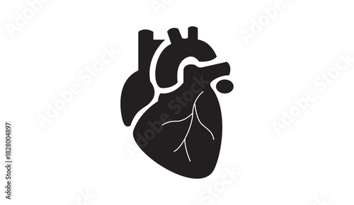 Human Internal Organs Anatomy Vector Illustration Set Isolated on White Background