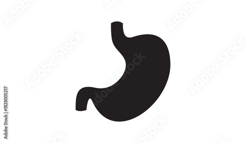 Stomach anatomy silhouette vector illustration