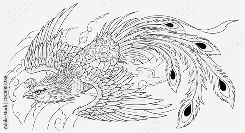 Majestic phoenix mythical creature in a dynamic flying pose line art.