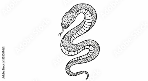 Hand drawn coiled snake illustration with detailed scales.