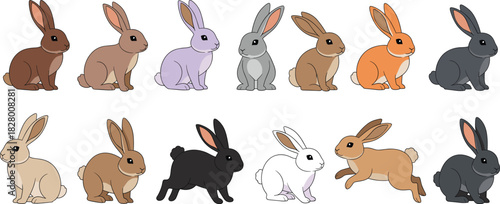 Vector Illustration Set of Cute Domestic Rabbits and Bunnies in Different Colors and Poses, Ideal for Representing Pets, Spring, Easter Holiday, Wildlife, and Children's Graphics