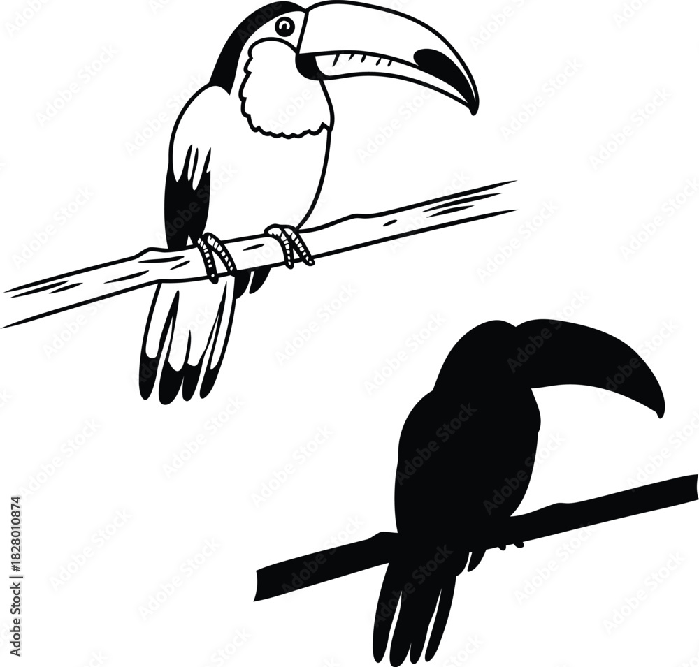 Naklejka premium toucan cartoon vector illustration