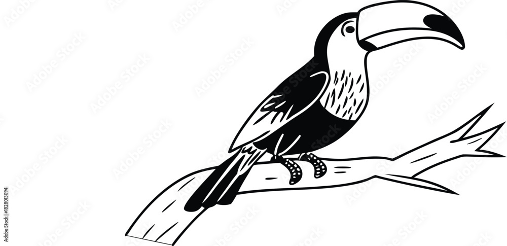 Fototapeta premium colorful toucan vector illustration