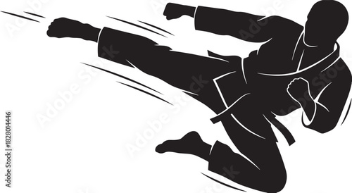 Black silhouette of martial arts karate kick on white background, vector