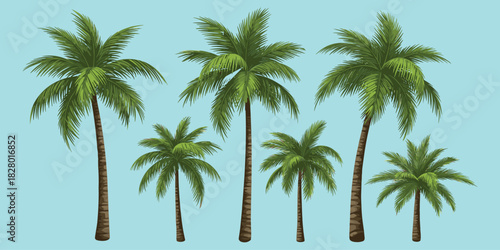 Palm trees, tropical landscape, summer vibes, exotic nature, beach scene, green fronds, botanical art, island mood, flat vector illustration