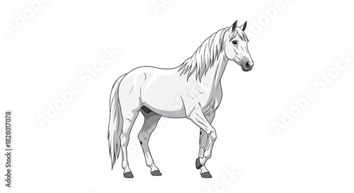 Realistic and elegant illustration of a graceful white horse walking with one leg raised on a simple white background design.