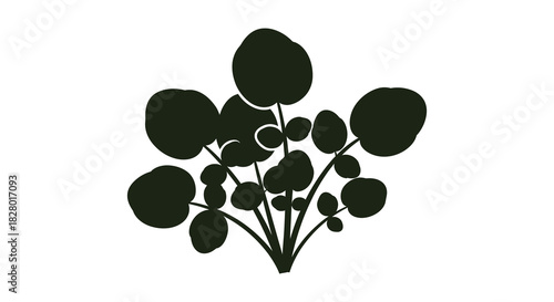Pilea peperomioides plant silhouette on white background minimalist design silhouette