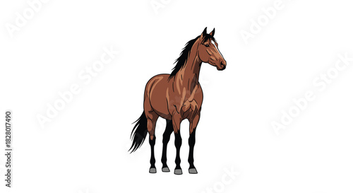 Beautiful and realistic illustration of a strong brown bay horse with a black mane and tail standing on a white background.