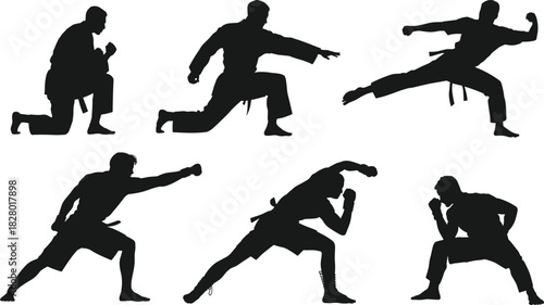 Black vector silhouettes of martial arts fighters performing karate kicks, punches, and combat stances on isolated white background for sports.