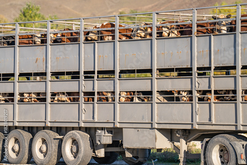truck on the road
