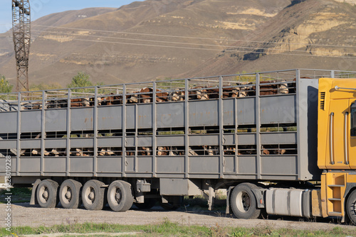 truck on the road