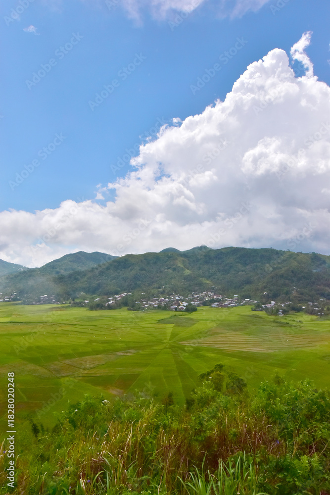 Fototapeta premium Panoramic view of Spider Web rice field in Cancar village, Ruteng area, Flores island, Indonesia