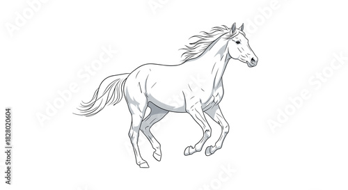 A graceful and clean black and white line art illustration of a beautiful horse running perfect for coloring or as a design element.