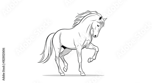 A stunning black and white line art illustration of a majestic horse in a prancing pose with one leg gracefully raised.
