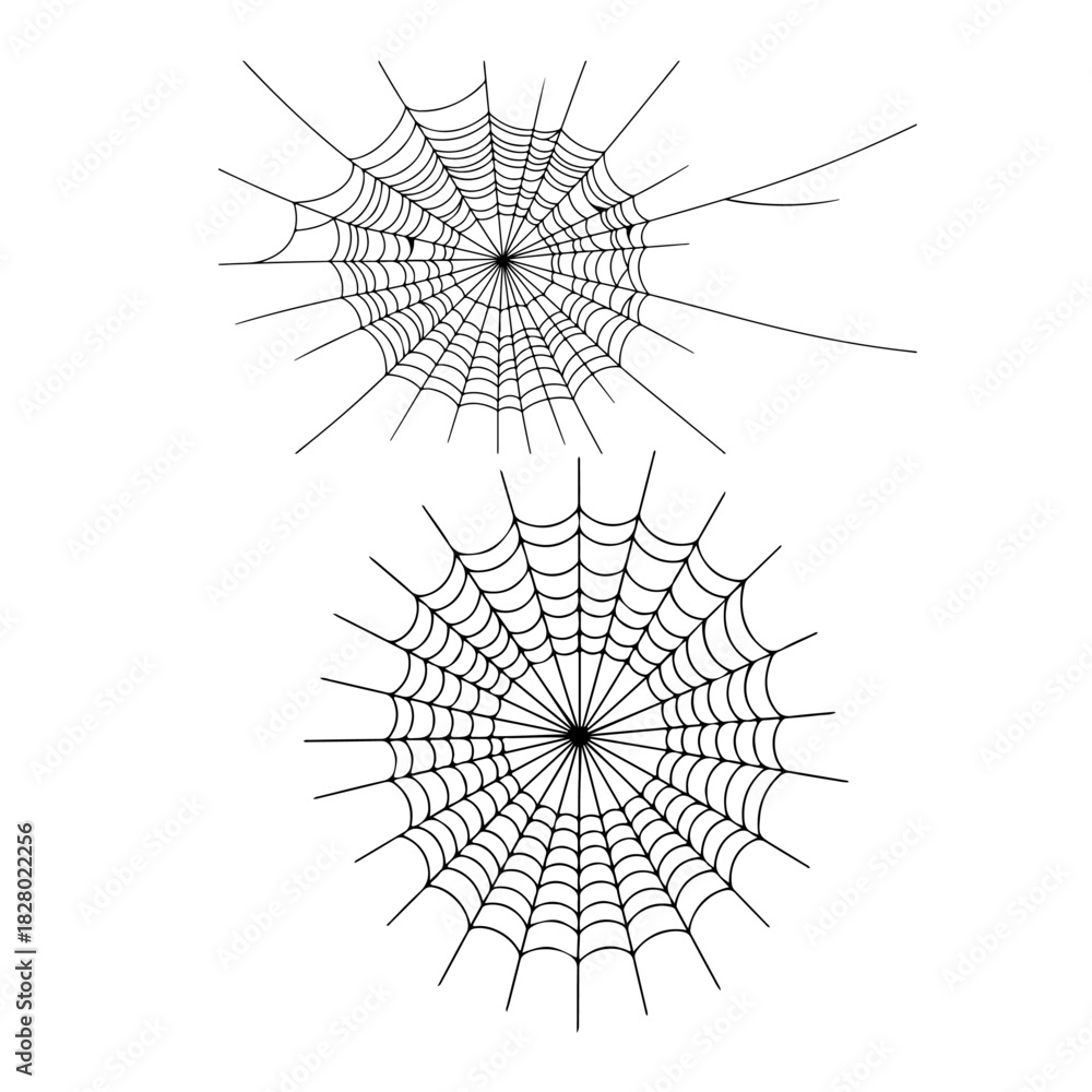 Obraz premium Spider web line art vector