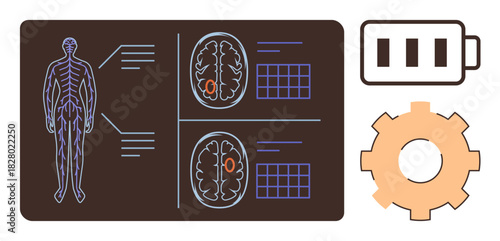 Human body anatomy diagram paired with brain scans displaying neural activity, gear symbolizing function, and battery depicting energy. Ideal for science, medicine, energy, biology, neuroscience